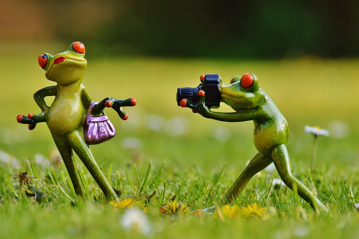 10 Common Mistakes Sellers Make in Listing Photos and How to Fix Them