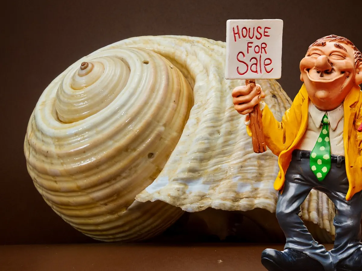 Seasonal Home Buying Guide: Best Months to Buy in a Seller's Market